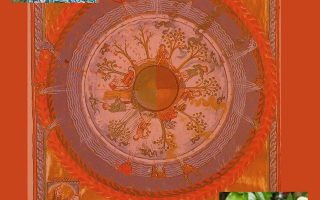 21. April | 16:30–19:00 Hildegard von Bingen, ihr Leben, ihre Werke, ihre Rezepturen mit Ulrike Düsseldorf